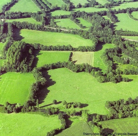 VOCABULARIO DE TÉRMINOS GEOGRÁFICOS: BOCAGE